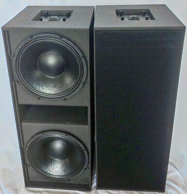 Dual Compact Neodymium Passive Indoor Bass Subwoofer 12 Inch