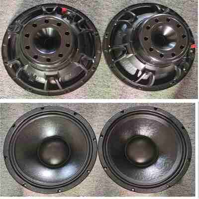 Dual Compact Neodymium Passive Indoor Bass Subwoofer 12 Inch
