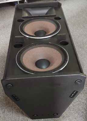High Output Dual Outdoor Passive Bi Amp Pro Speaker 1200w 15 Inch