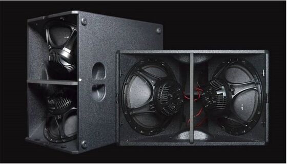Dual Compact Passive Indoor Outdoor Matrix Subwoofer System 15 Inch