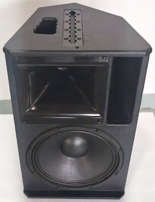 Front Side Near Fill Pa Installation Professional Speaker 12 Inch 300w